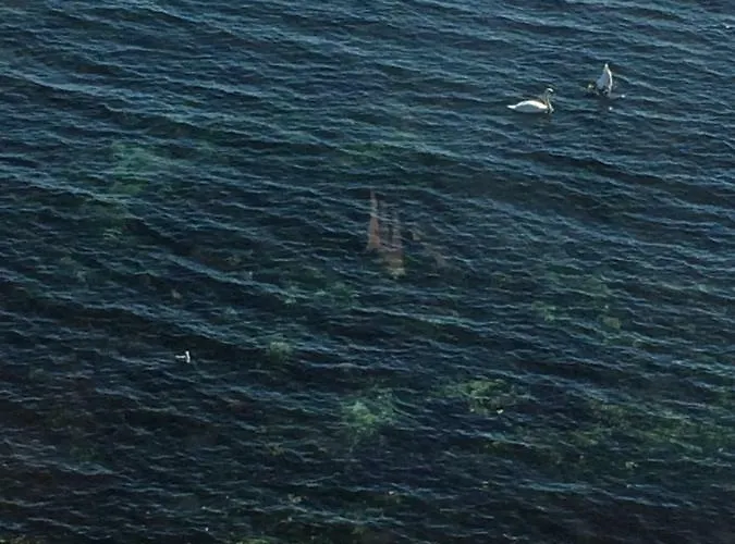 아파트 Milagro 라브다