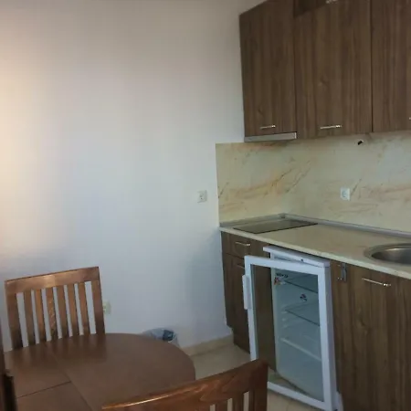 Milagro Apartment Ravda